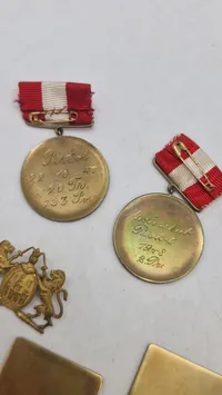 Samling Dansk politi 