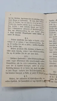 Dansk Skudsmaalsbog 