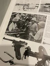 The rise and fall of Inperial Japan