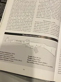Weapons and fighting tactics of the Waffen SS