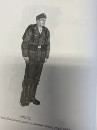 Görings Grenadiers - the Luftwaffe fielddivisions 1942-1945