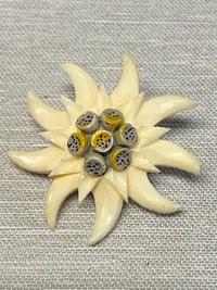 Original ww2 Edelweis broche