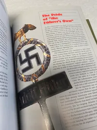 The SS