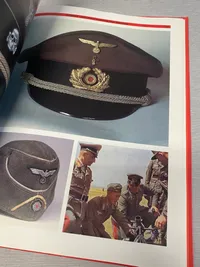 Nazi insignia