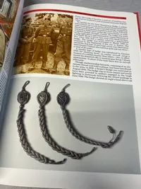 Nazi insignia