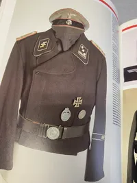 Nazi insignia