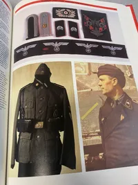 Nazi insignia