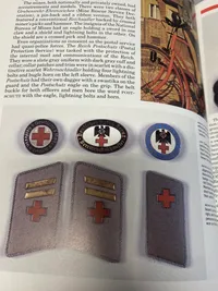 Nazi insignia