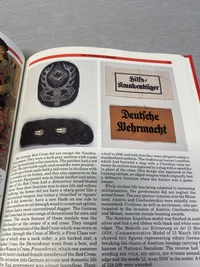 Nazi insignia