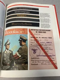 Nazi insignia