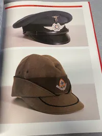 Nazi insignia