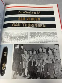 Nazi insignia