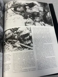 Waffen-SS