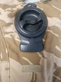Original Camelback