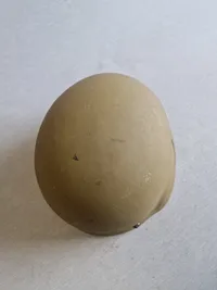 Militær kevlar hjelm