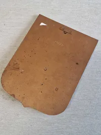 Skåne plakette af bronze