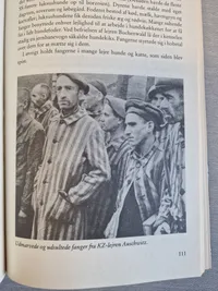 SS Hitlers terrorkorps
