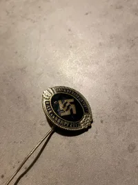 Tysk Waffen SS pin - veludført Postwar