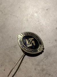 Tysk Waffen SS pin - veludført Postwar