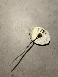 Tysk Waffen SS pin - veludført Postwar