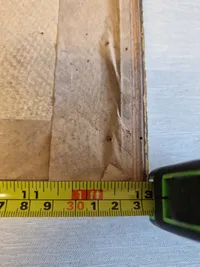 Originalt billede af dronning Alexandrine
