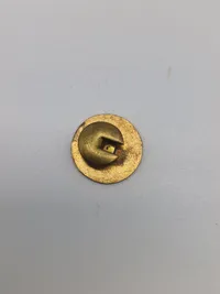 Original Christian X pin