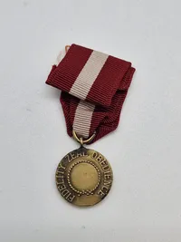 Originale amerikanske miniature medaljer