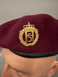 Norsk baret