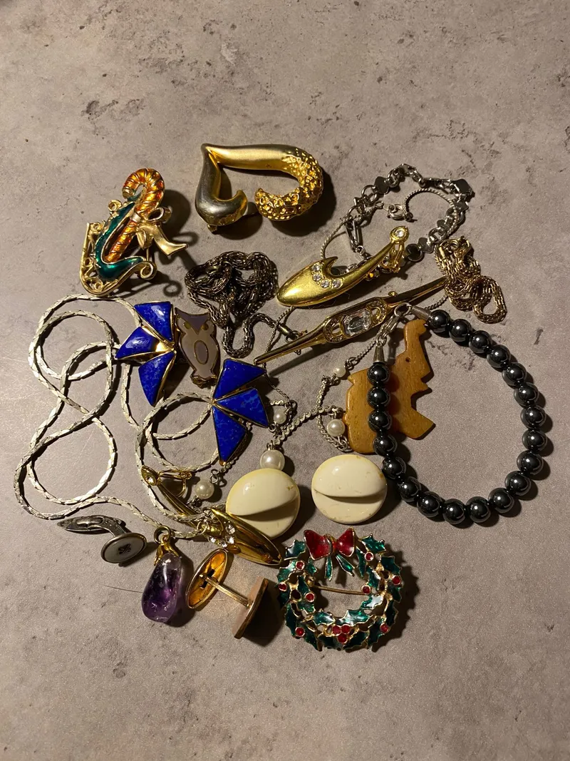 Lot diverse smykker