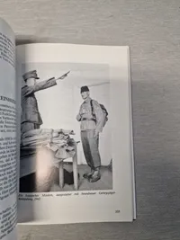 Uniformen der Waffen SS