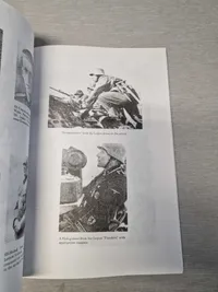 Lions of Flanders