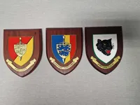Samling diverse militære vægskjolde