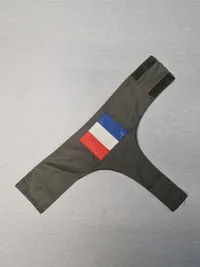 Originalt armbind Frankrig