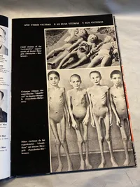 Sjælden og barsk polsk bog fra 1960’erne omhandlende den tyske besættelse af Polen