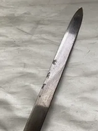 Original dansk Korpssabel M/1882 
Udfaset af søværnet efter ww2 - Kong Frederik den 9 ønskede den dog fortsat den blev brugt som vagtsabel af personellet på kongeskibet Dannebrog