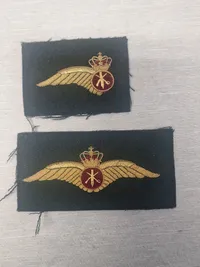Militære flyvevinger Hæren