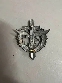 Original Tysk veteran pin