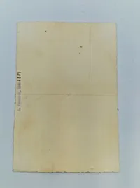 Originalt tysk Edelweis patch med foto - ww2
