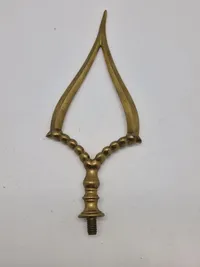 Fanespids