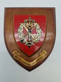 Dansk militært vægskjold