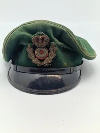 Dask Forstvæsens Kasket