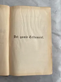 Original dansk bibel - 1891