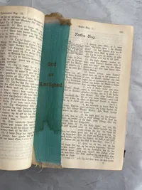 Original dansk bibel - 1891