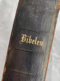 Original dansk bibel - 1891