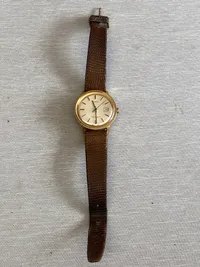 Timex ur