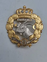 Originalt Dansk HJV badge