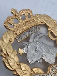 Originalt Dansk HJV badge