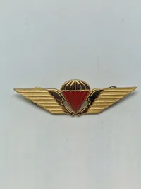 Original Dansk rød faldskærms vinge, frit fald