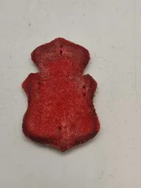 Ærme mærke for lærer ved Skyde skolen  ca. 1871