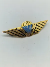 Original dansk faldskærmsvinge - Fra GHR i 80 erne
